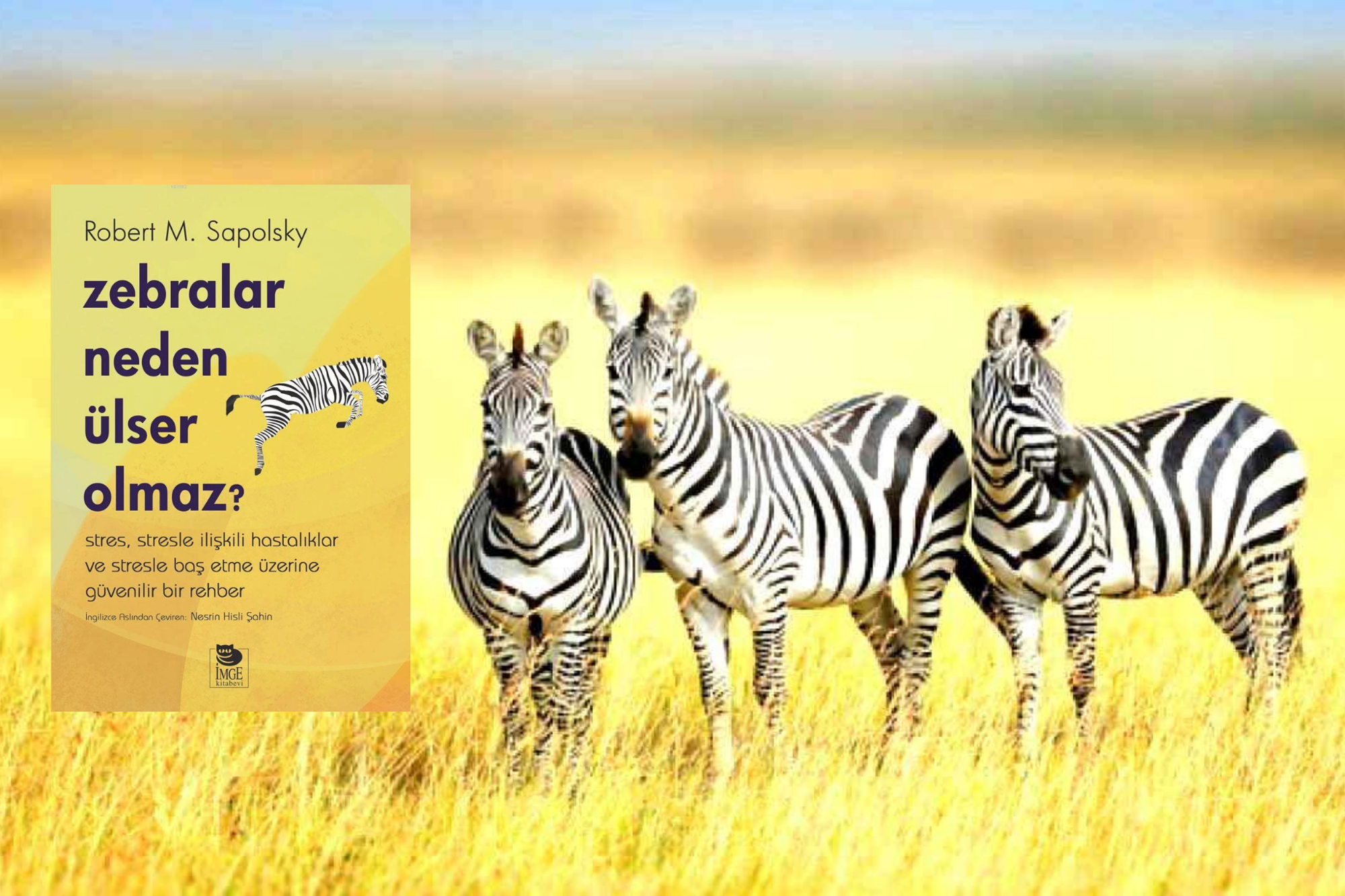 Tehlike Geçtikten Sonra da Koşan Tek Canlı: İnsan